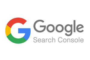 googlesearchcosole